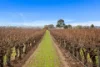 Lot 351 Angaston Road, Nuriootpa, SA 5355-Image