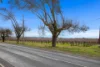 Lot 351 Angaston Road, Nuriootpa, SA 5355-Image