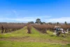 Lot 351 Angaston Road, Nuriootpa, SA 5355-Image