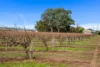Lot 351 Angaston Road, Nuriootpa, SA 5355-Image