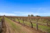 Lot 351 Angaston Road, Nuriootpa, SA 5355-Image