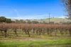 Lot 351 Angaston Road, Nuriootpa, SA 5355-Image