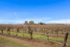 Lot 351 Angaston Road, Nuriootpa, SA 5355-Image