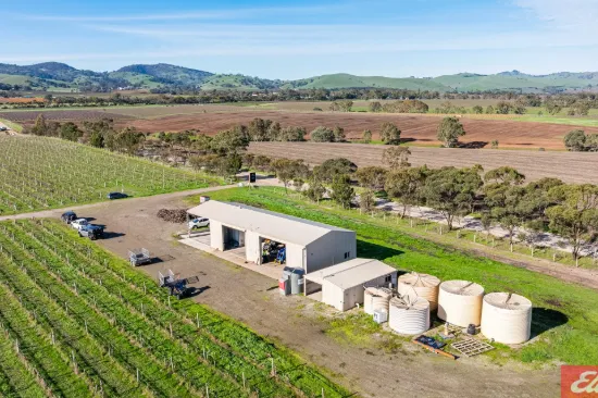 Lot 662 Rifle Range Road, Tanunda, SA 5352