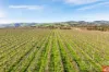 Lot 662 Rifle Range Road, Tanunda, SA 5352-Image