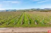 Lot 662 Rifle Range Road, Tanunda, SA 5352-Image