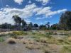 20 Mooney Street, Condobolin NSW 2877-Image
